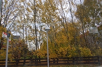 e0134052_4395758.jpg