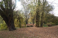 e0134052_4421316.jpg