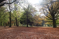 e0134052_4425136.jpg