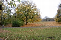 e0134052_453096.jpg