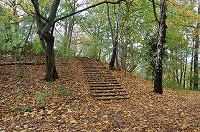 e0134052_4534846.jpg