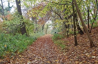 e0134052_454925.jpg