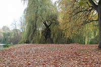 e0134052_4571350.jpg