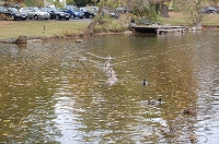 e0134052_4582265.jpg