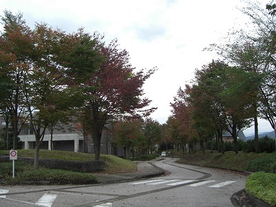 池田記念美術館の秋_a0084753_17223536.jpg