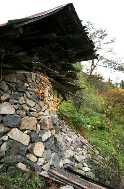 f0147858_15502328.jpg