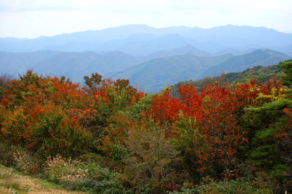 f0147858_15534857.jpg