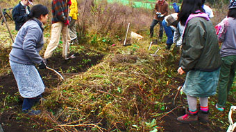 c0008664_2134492.jpg
