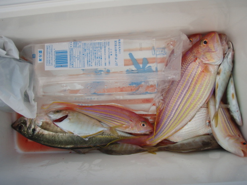 エミークラブの釣り大会_a0077071_1753393.jpg