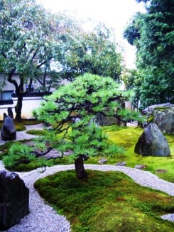 初秋の京都~② 重森三玲庭園美術館~リビングは環境です~By 初秋の京都~② 重森三玲庭園美術館~リビングは環境です~By