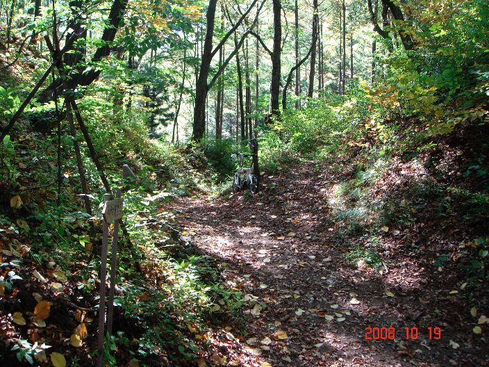 f0124378_230262.jpg