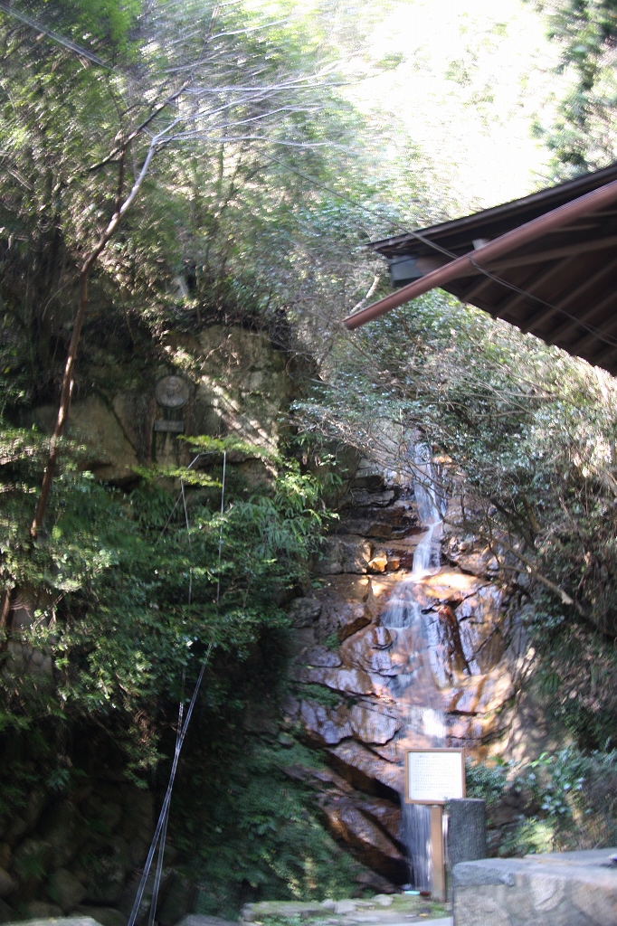 e0024081_1641738.jpg