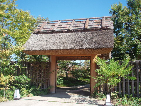 d0098183_98361.jpg