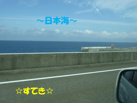 e0066883_2032275.gif