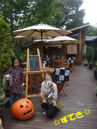 e0066883_22184558.gif