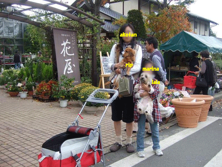 e0066883_2283394.gif