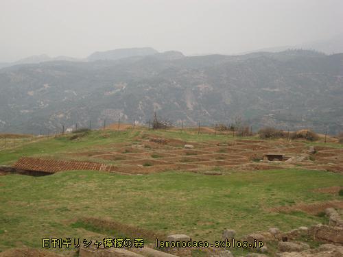 c0010496_744224.jpg