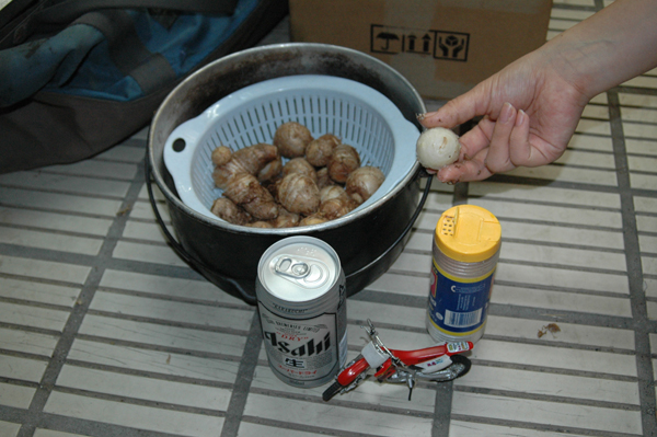 f0137496_1917587.jpg