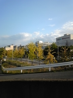 f0017897_16282444.jpg