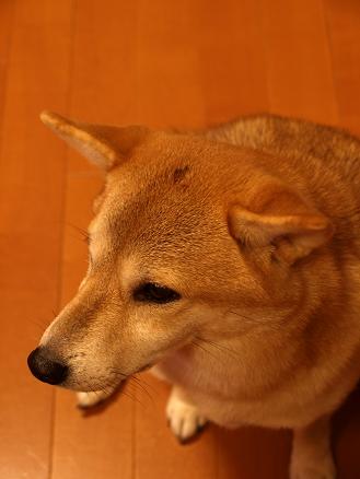 f0109601_015613.jpg