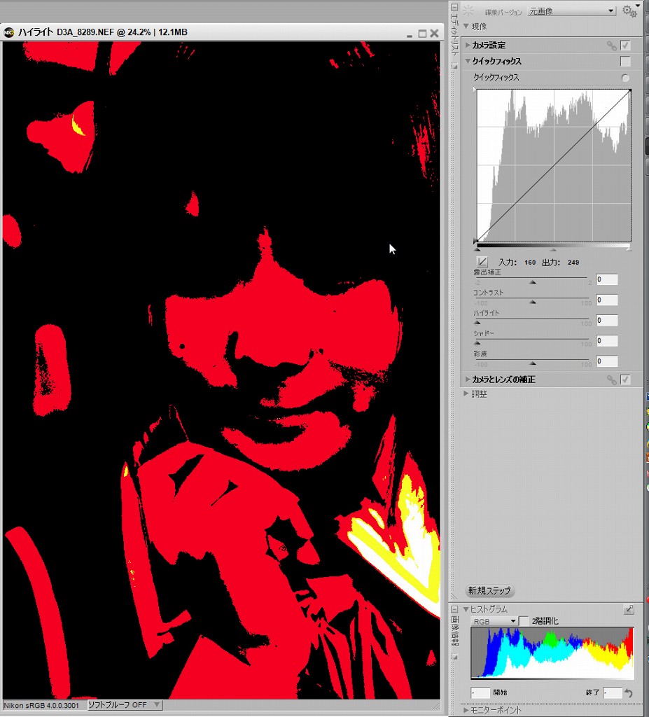 CaptureNX2 で現像を_c0157702_512322.jpg
