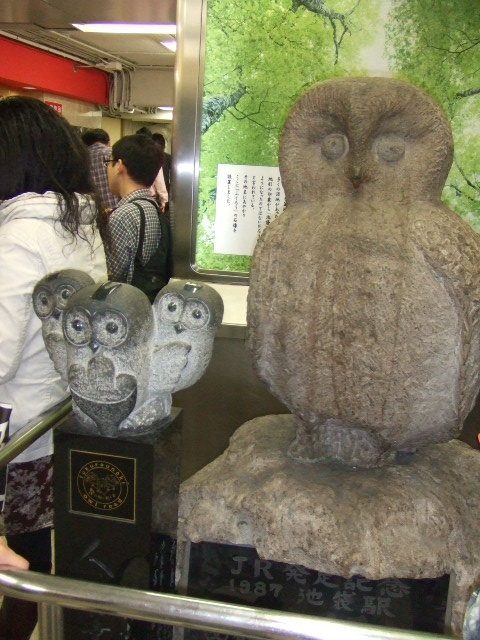 e0123104_61964.jpg