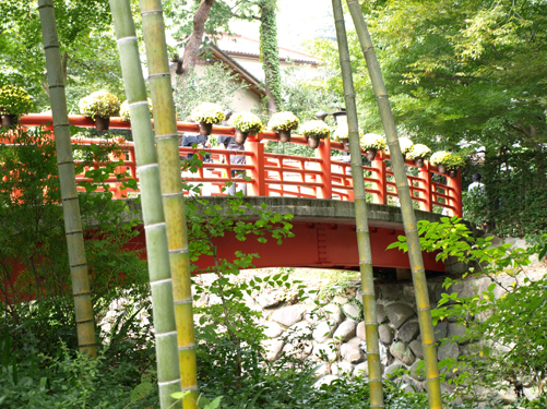 c0057810_2343282.jpg