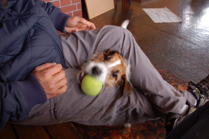 首四の字 遊んでナンボｘ