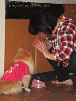 b0075318_11431530.gif