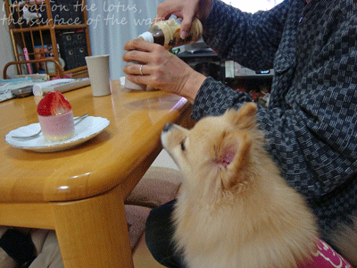 b0075318_11441537.gif