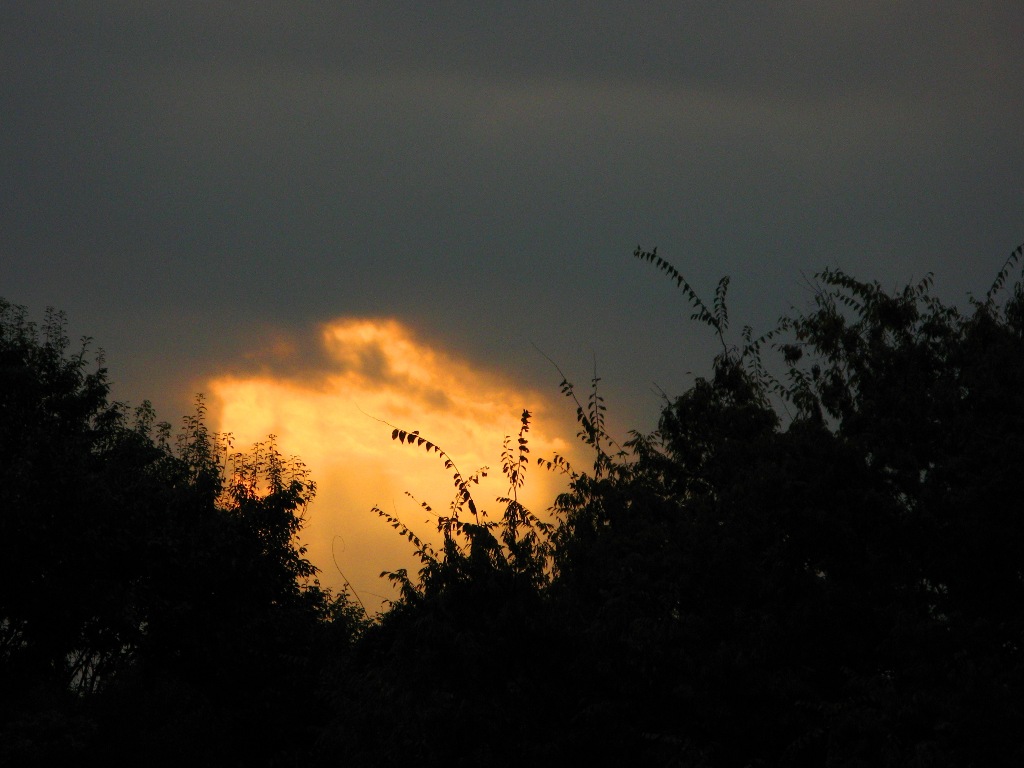 2008年10月27日　夕方新宿で　まさかのアラレが降った直前の夕空　東京府中より_d0129921_12251780.jpg