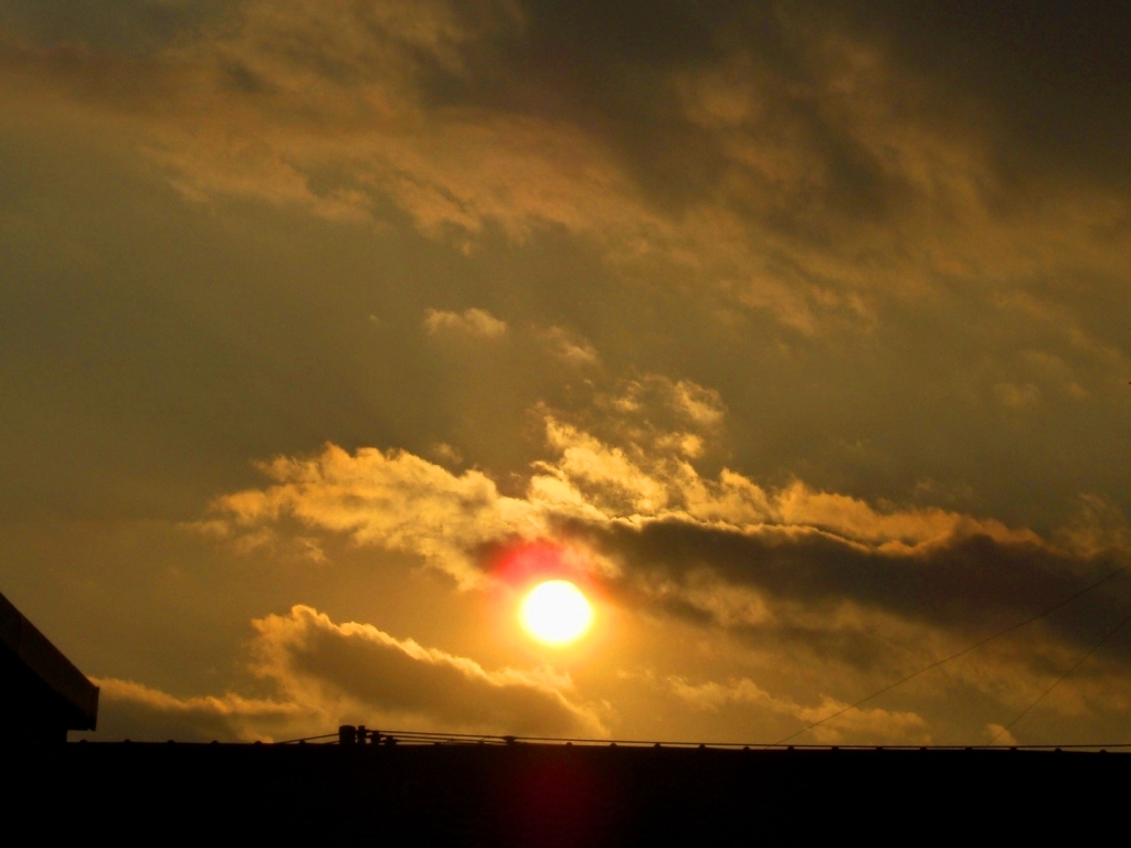 2008年10月28日　つるべ落としの夕陽に照らされた暖かな　コバノランタナを見つけました　in Tokyo_d0129921_23191873.jpg