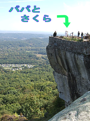 c0151122_13184694.gif