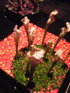 e0128322_1302079.jpg