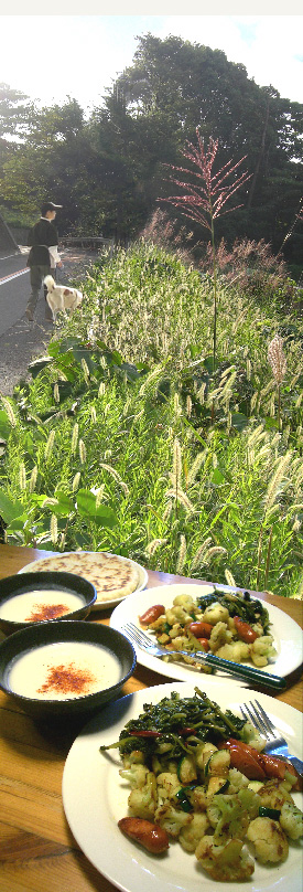 d0043225_19524891.jpg