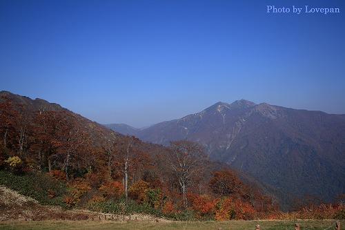 c0136926_22322218.jpg