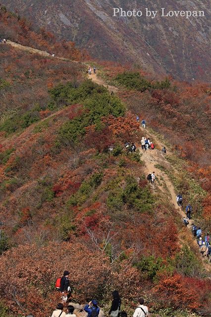 c0136926_22341346.jpg