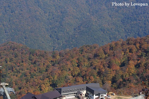 山頂制覇？！の谷川岳より_c0136926_838195.jpg