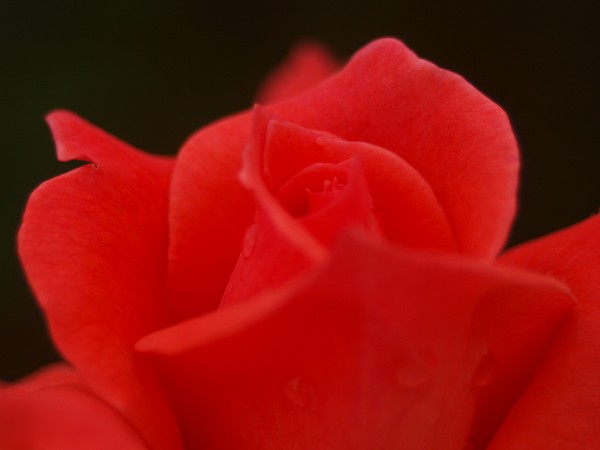 c0109827_8513682.jpg