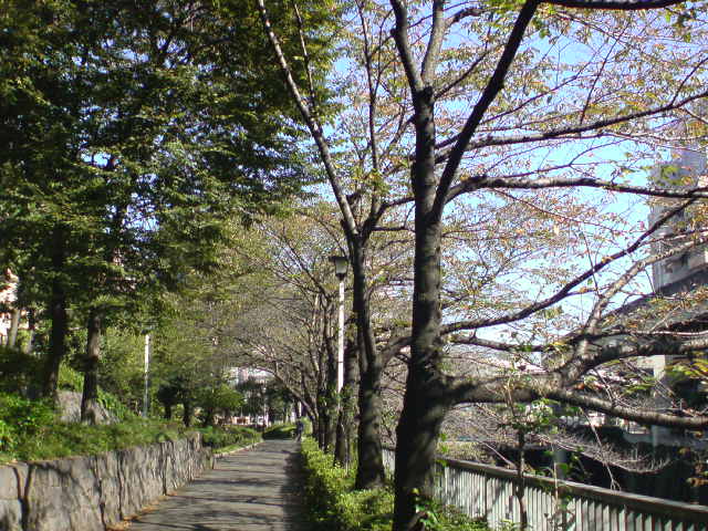 枯葉の唄が聞えてくるよ_e0016828_19203724.jpg