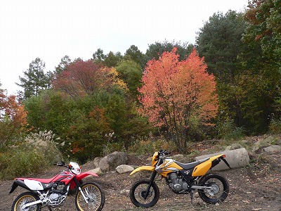 honda230ミーティング 参加 さかなの日記 honda230ミーティング 参加 さかなの日記