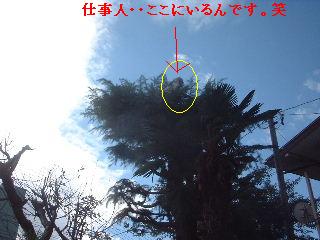痙攣しながらの作業・・・笑_f0031037_2136549.jpg