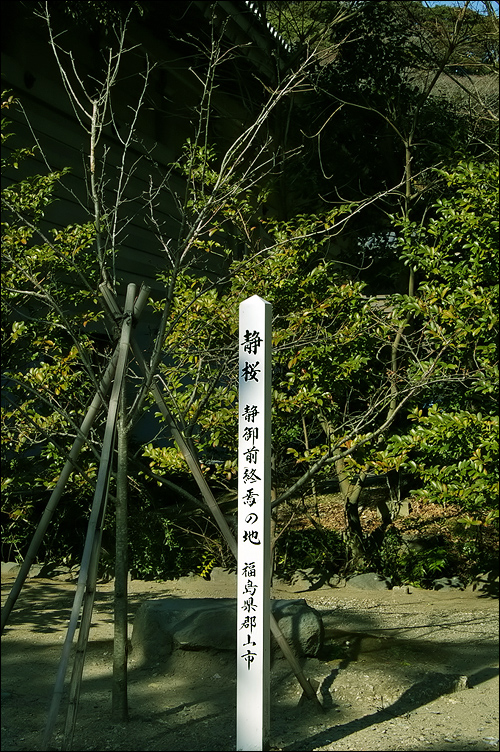 c0073742_1355613.jpg