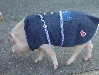 d0129745_2051325.jpg