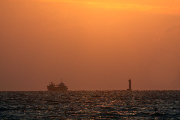 f0147858_238962.jpg