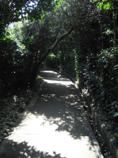 a0076262_2329011.jpg