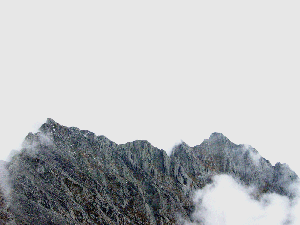 c0137869_1441551.gif