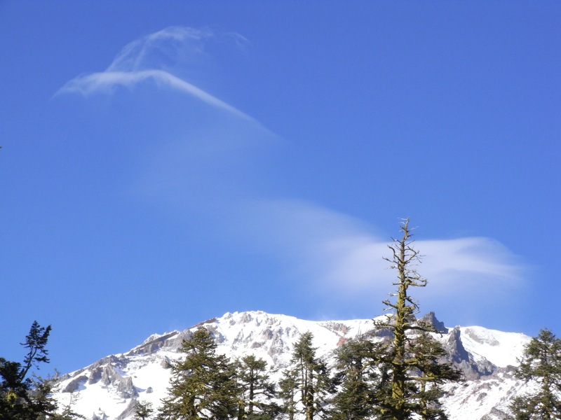 Shasta-3:パンサーメドウズ_c0173978_0381112.jpg