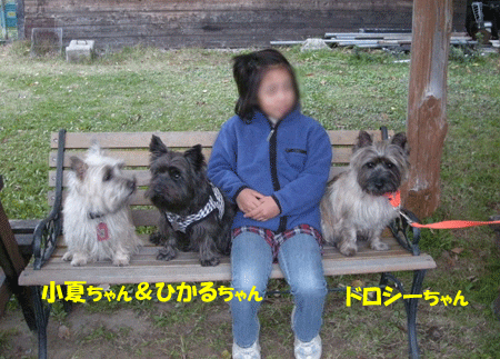 e0066883_22241756.gif