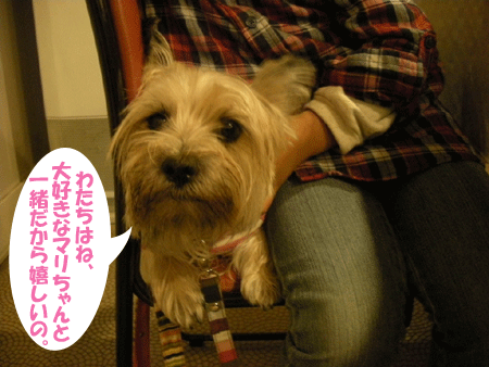 e0066883_22431175.gif